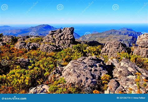 Table Mountain (South Africa) Stock Photo - Image of landscape, desert ...