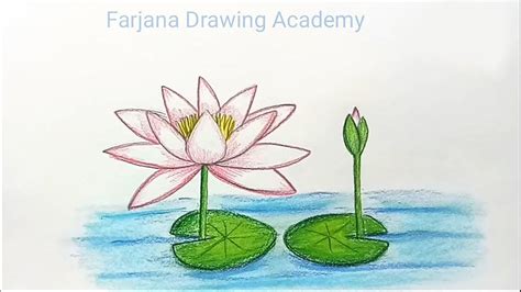 How to draw water lily step by step - YouTube