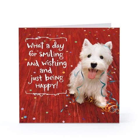 More birthday wishes | Dog birthday invitations, Dog birthday card ...