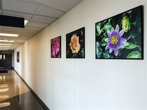 Hannibal Regional Hospital Receives Photos | Healing Photo Art