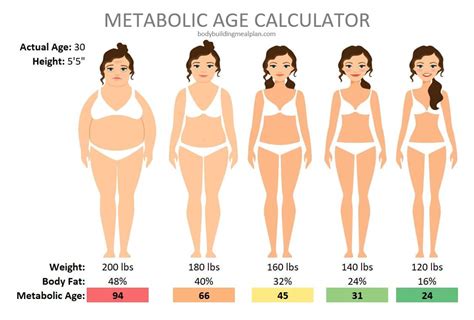 Metabolic Age Calculator + 7 Simple Steps To Lower Metabolic Age