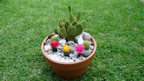 MY FIRST CACTUS ARRANGEMENT - YouTube