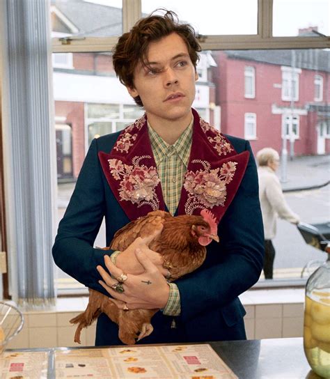 Harry Styles in First Ad Campaign for Gucci | SENATUS