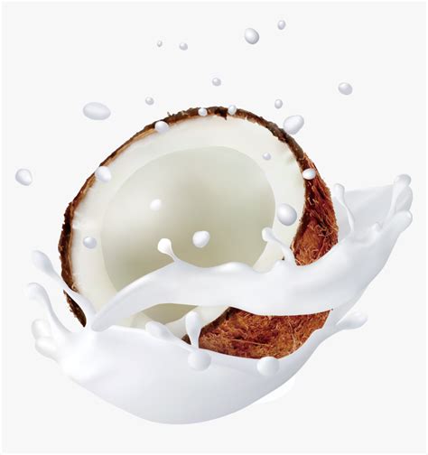 Coconut Milk Png - Coconut Milk No Background, Transparent Png ...