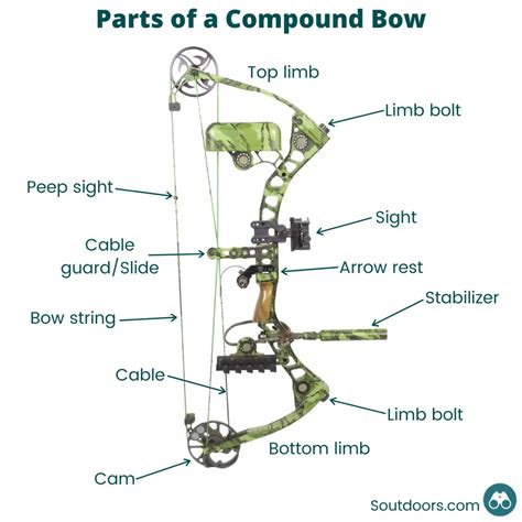 39 how to string a compound bow diagram - Diagram Online Source