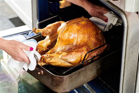 Tips for Roasting a Turkey - National Turkey Federation