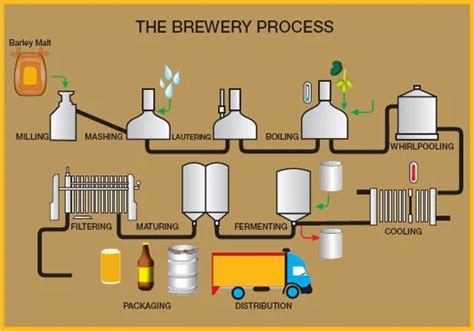 Beer Fermentation Process