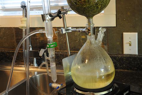 Essential Oil Distillation Equipment Review - GROZINE