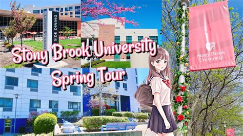 Stony Brook University Campus Tour (my favorite places on campus) - YouTube