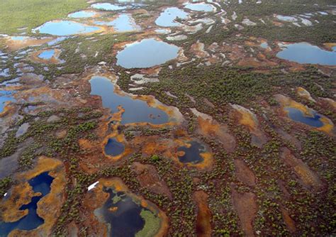 The Largest Mire in the World protected – all other Russian mires doomed? — Rivers without ...