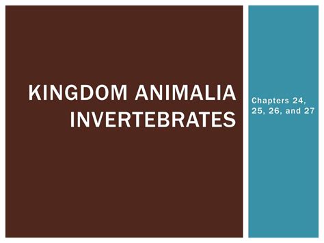 PPT - Kingdom animalia Invertebrates PowerPoint Presentation, free ...