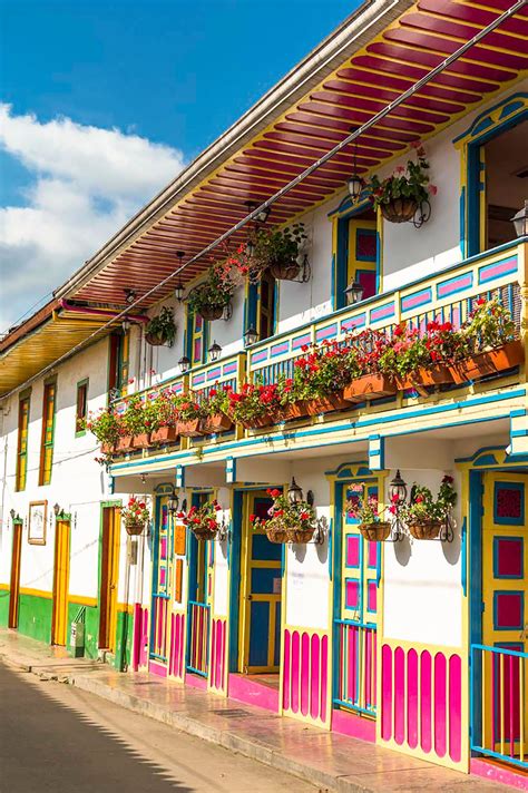 Salento and Valle de Cocora: Stars of Quindío - Panorama of the Americas