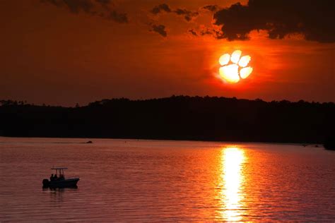 Clemson Wallpapers - Wallpaper Cave