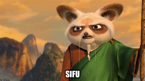 Shifu is Sifu | Kung fu panda, Shifu kung fu panda, Kung fu