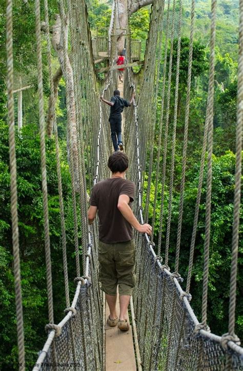 Kakum National Park Canopy Walk | National parks, Ghana culture, Ghana