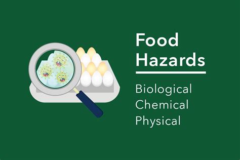 Food Hazards: Types, Examples, and More – FoodSafePal®