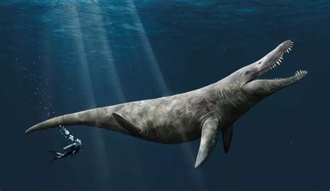 'Truly gigantic' Jurassic sea monster remains discovered by chance in ...