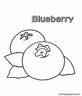 21  Blueberry Coloring Page AnjimAmritha sketch template