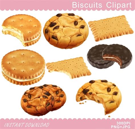 Cookies Clipart Biscuit Clipart Baking Clip Art Food | Etsy