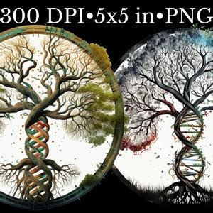 Tree of Life DNA Style Clipart Bundle, Watercolor PNG, DNA Helix Transparent Background, Family ...