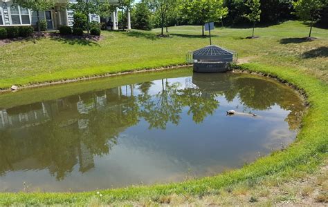 Let's Re-Think Retention Ponds - IDEAS For Us | Blog