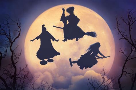 Hocus Pocus 2 Disney+ Wallpapers - Wallpaper Cave