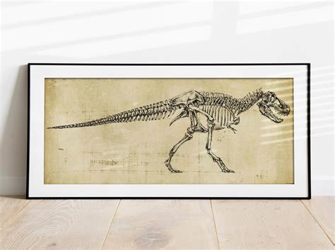 Tyrannosaurus Rex Art, Oddities and Curiosities , T-Rex Drawing, Dinosaur Skeleton, Dinosaur Art ...