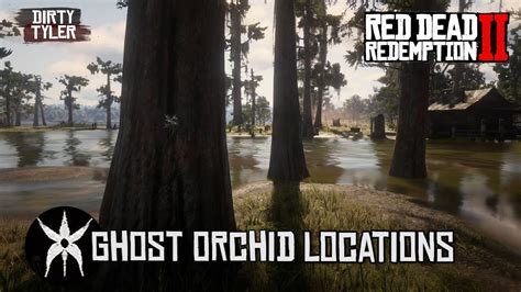 Rdr2 Orchidee