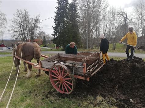 Horse drawn manure spreader | Horses, Horse drawn, Manure spreaders