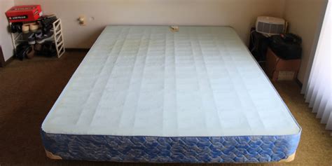 How to Dispose of Bed Bug Mattress | 8 Beneficial Methods (2024)