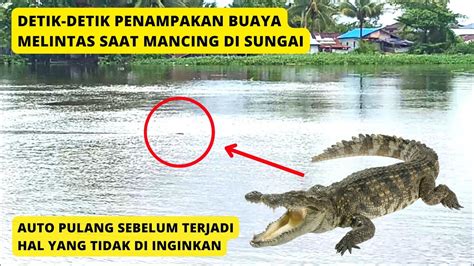 Terekam Kamera...! Penampakan Buaya saat Mancing di Sungai - YouTube