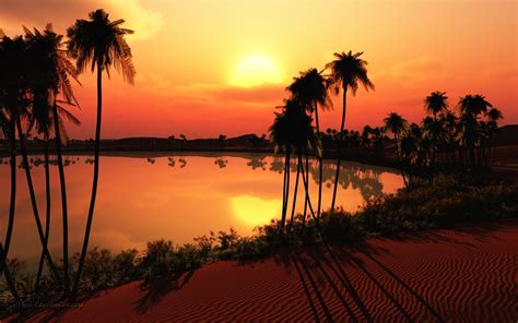 Desert Oasis Landscape Wallpapers - 4k, HD Desert Oasis Landscape Backgrounds on WallpaperBat