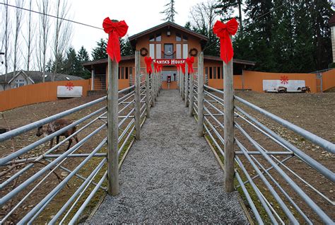 Issaquah Reindeer Festival at Cougar Mountain Zoo | Seattle Bloggers