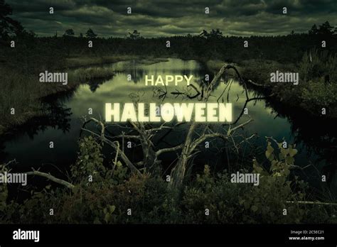 Haunted forest swamp on Halloween. Poster with spooky marsh or bog at ...