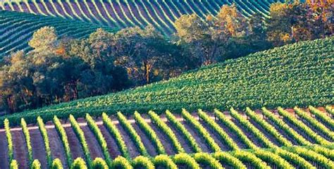 Introduction to California Wine Country