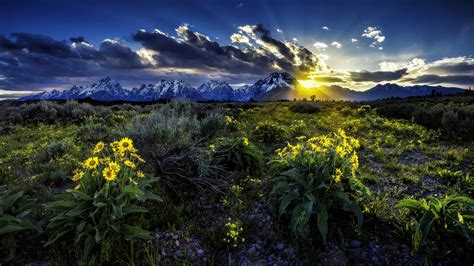 Grand Teton National Park Meadow Rocky Mountains During Sunrise In Wyoming HD Nature Wallpapers ...