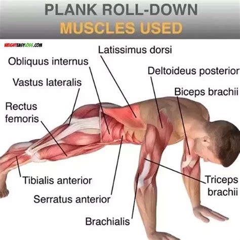 How to Do Perform Plank Properly | Video & Guide