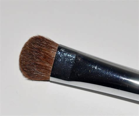 Sigma Brushes Review, Photos