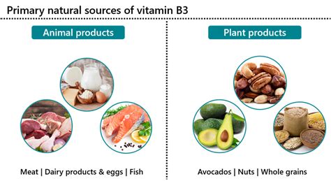 Vitamin A Sources