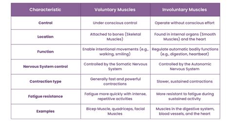 Difference Between Voluntary And Involuntary Muscles: Explained