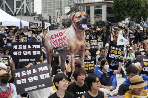 South Korea’s parliament passes landmark ban on production and sales of dog meat :: AP :: Setopati