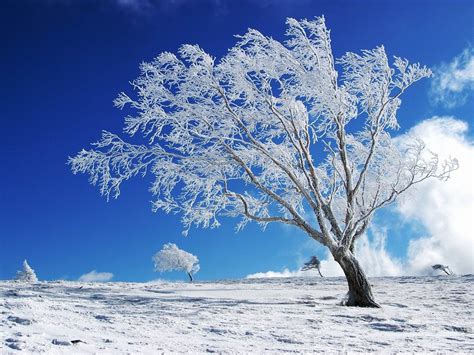 Winter Backgrounds for Desktop Free Download