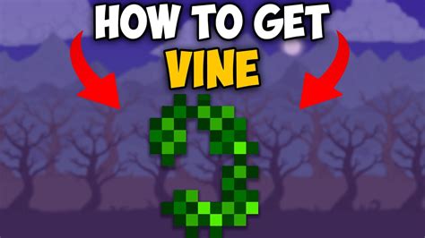 How To Get Vine in Terraria 1.4.4.9 | Terraria How To Get Vine - YouTube