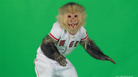 20 years ago: The tale of the famous Los Angeles Angel 'Rally Monkey ...