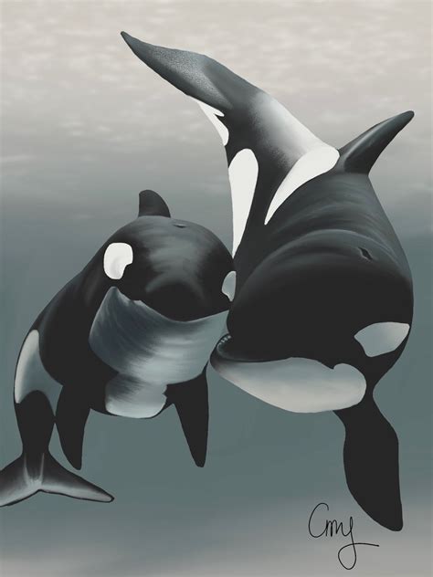 Orca Whale and Baby-digital Download - Etsy