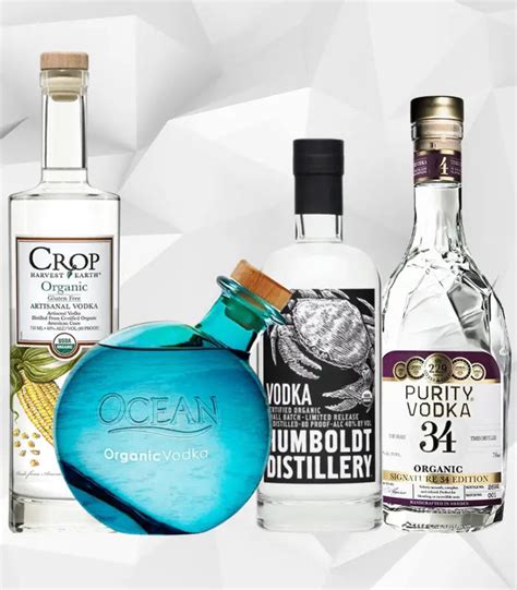 Explore the Top Organic Vodkas in 2024 | The Barrel Tap