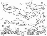 Dolphin Coloring Pages & Templates  28 FREE Printabulls sketch template