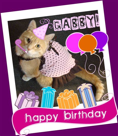 Feline Underground: happy birthday, gabby!