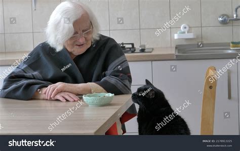 Old Woman Giving Food Her Cat Stock Photo 2178913225 | Shutterstock