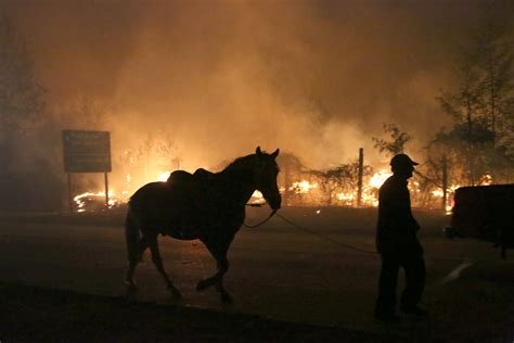 ‘The Greatest Forest Disaster in Our History’: Wildfires Tear Through Chile - The New York Times